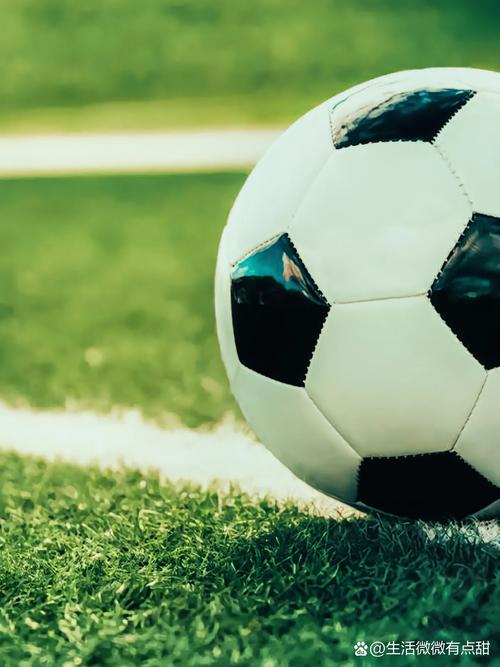 90vs篮球比分查询多平台下载